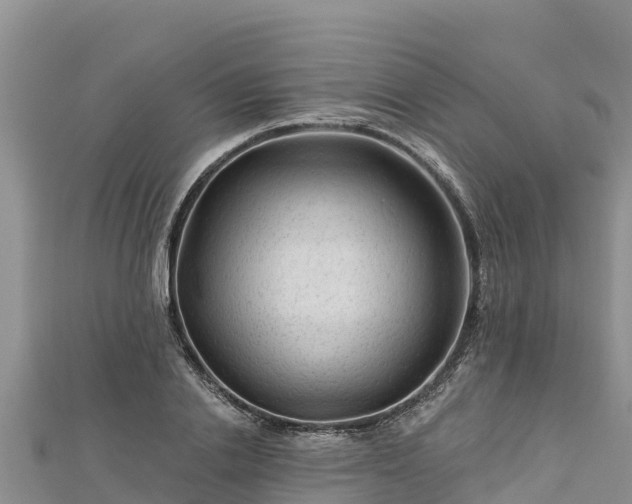 X0000112800838200908281526