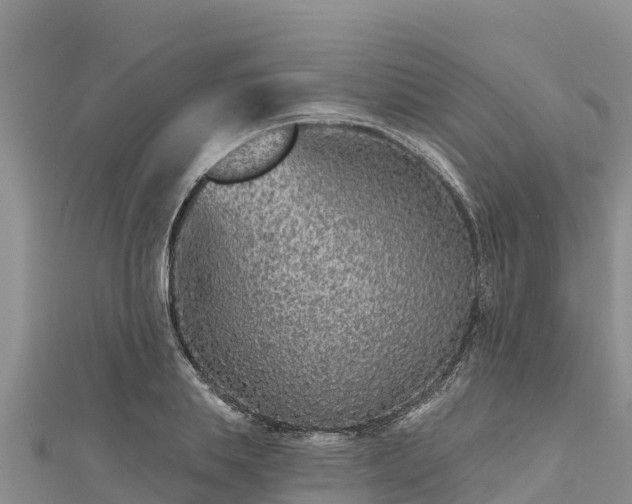 X0000112800839200908281526