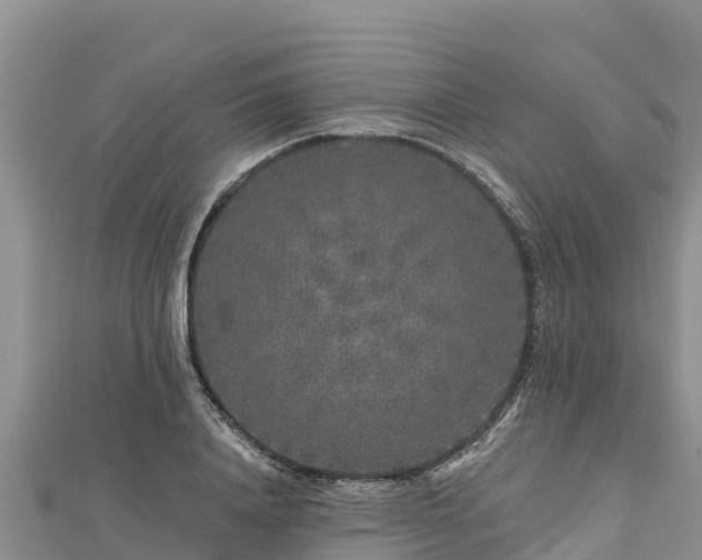 X0000112800840200908281526