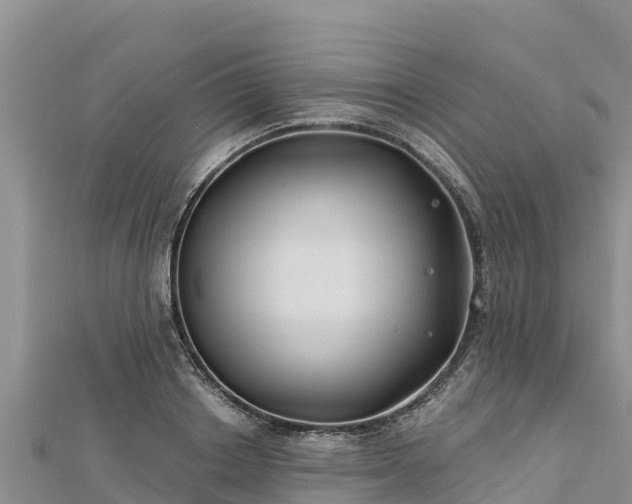 X0000112800842200908281526