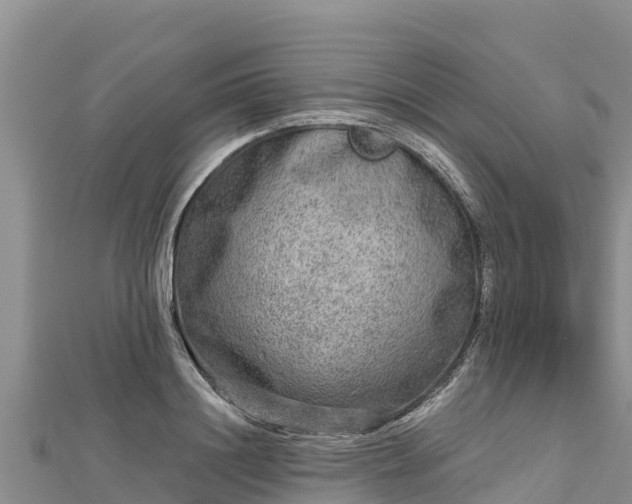 X0000112800844200908281526