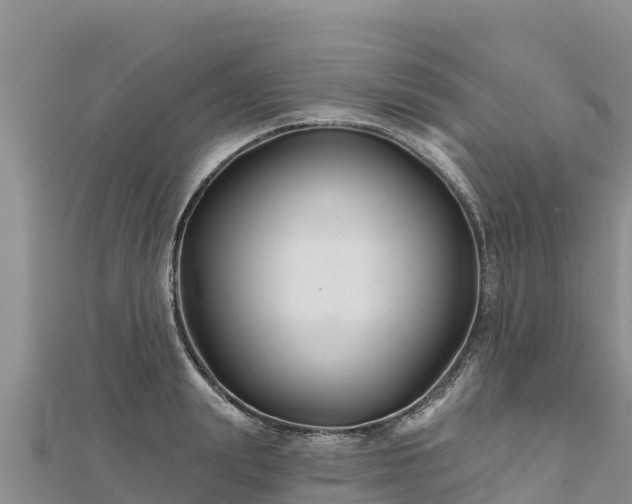 X0000112800847200908281526