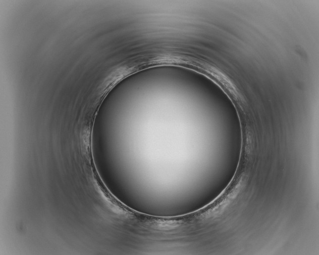 X0000112800849200908281527