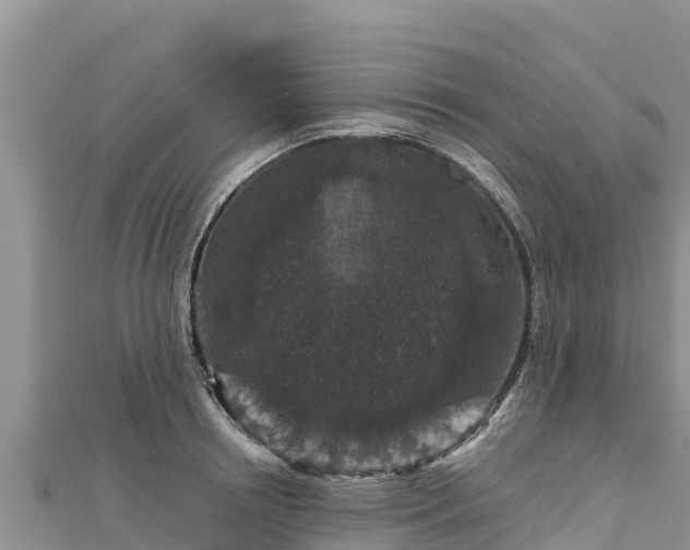 X0000112800850200908281527
