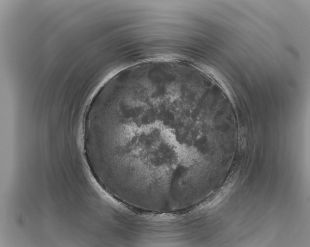 X0000112800851200908281527