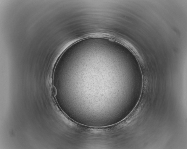 X0000112800852200908281527