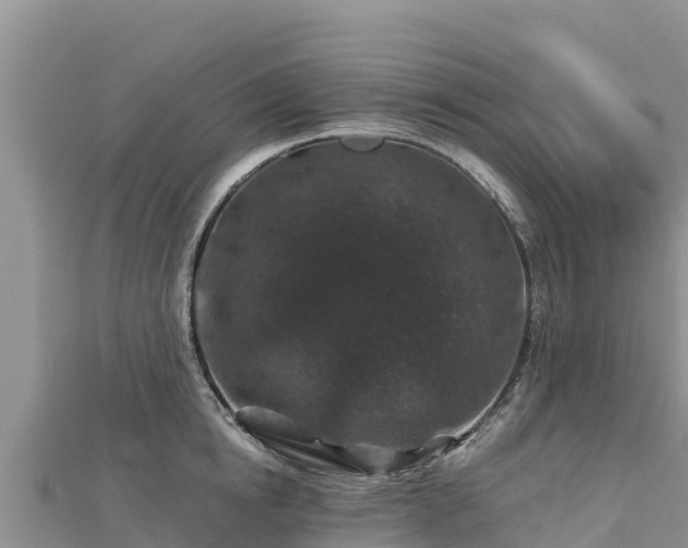 X0000112800854200908281527