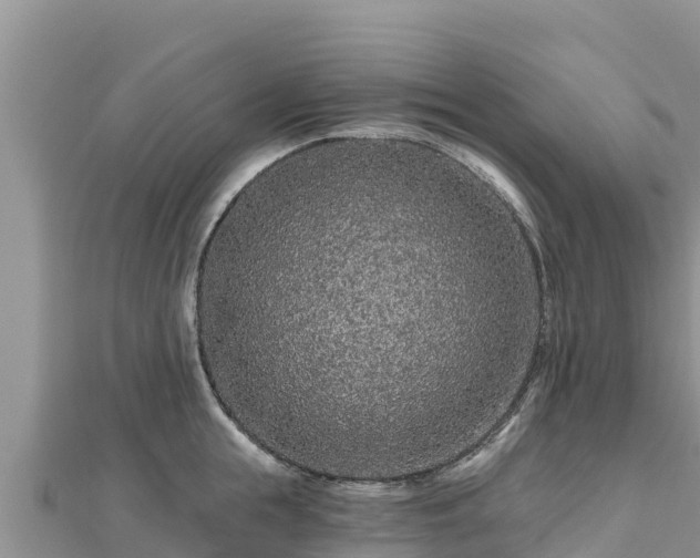 X0000112800855200908281527