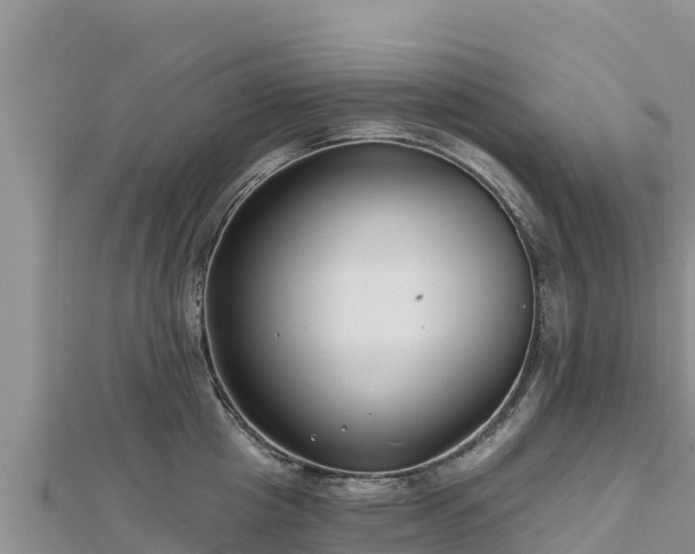 X0000112800857200908281527