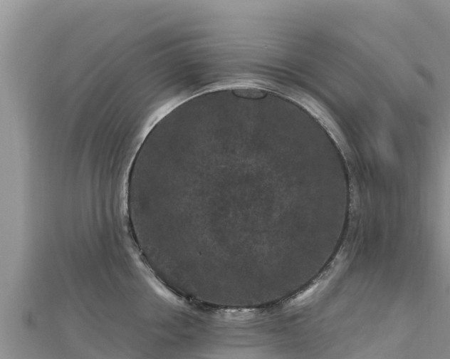 X0000112800858200908281527