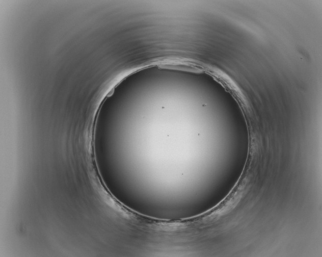 X0000112800860200908281527