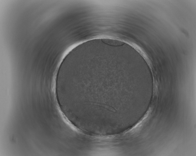 X0000112800862200908281527