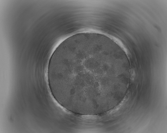 X0000112800863200908281527