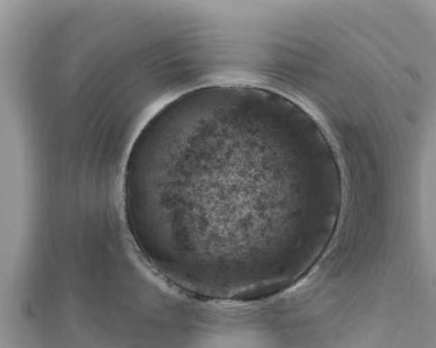 X0000112800864200908281527