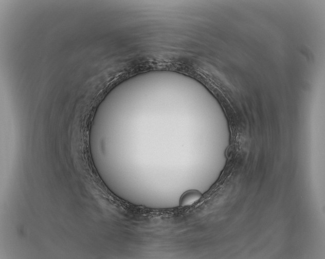 X0000112800865200908281526