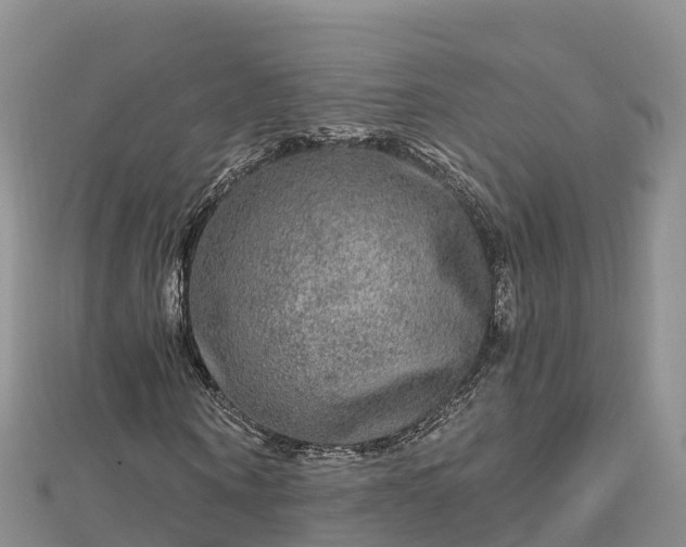 X0000112800866200908281526