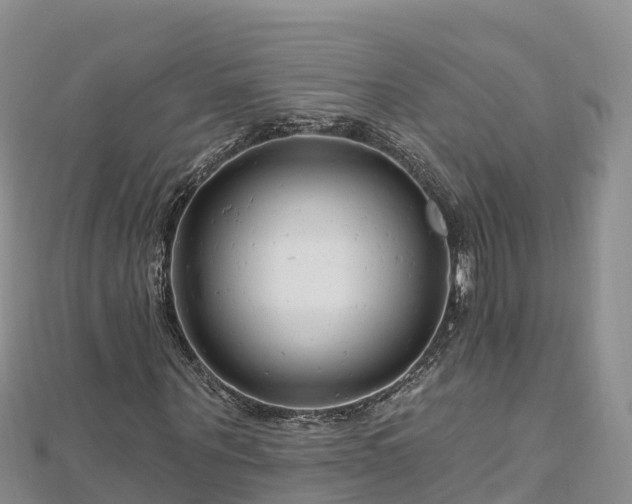 X0000112800867200908281526