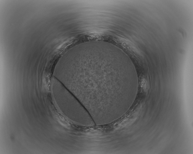 X0000112800868200908281526