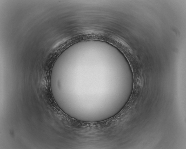 X0000112800869200908281526