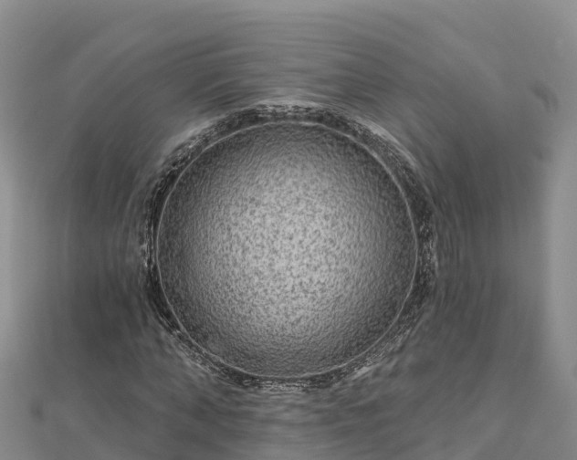X0000112800870200908281526