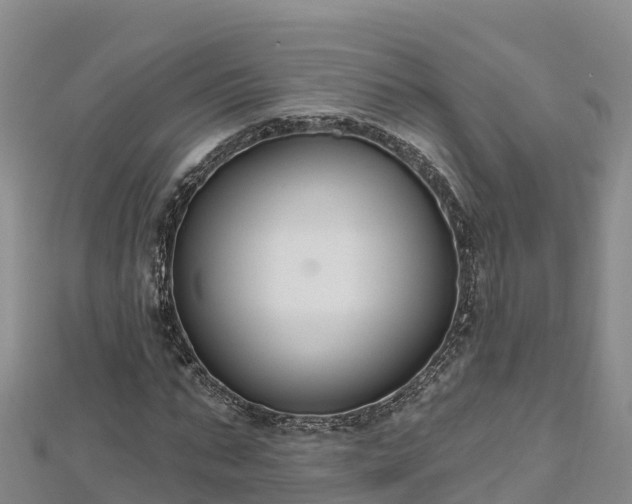 X0000112800871200908281526
