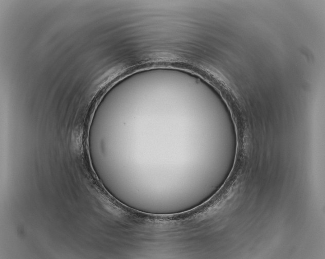 X0000112800873200908281526