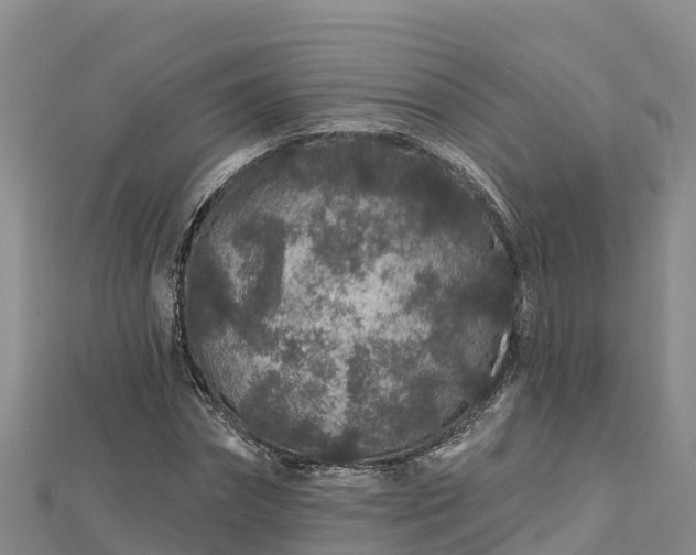 X0000112800874200908281526
