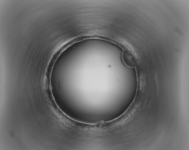 X0000112800876200908281526