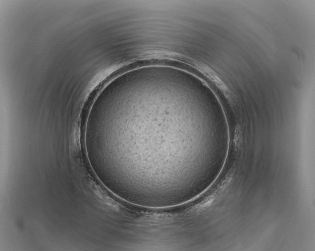 X0000112800877200908281526
