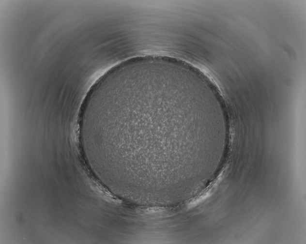 X0000112800879200908281526