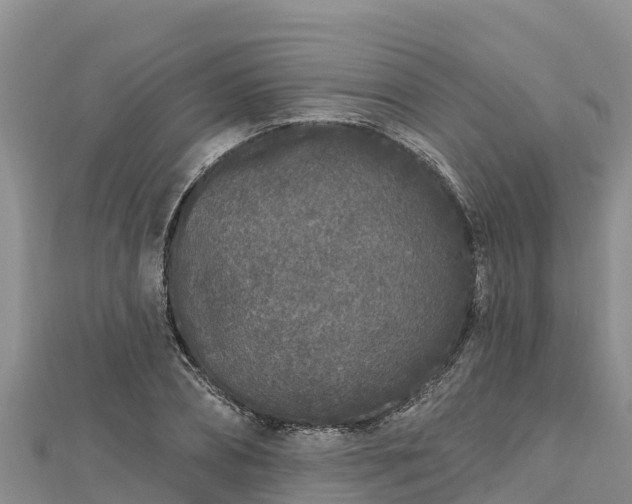 X0000112800882200908281526