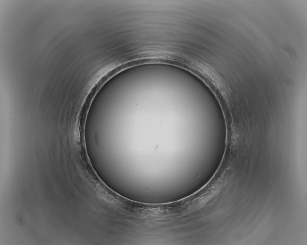 X0000112800883200908281526