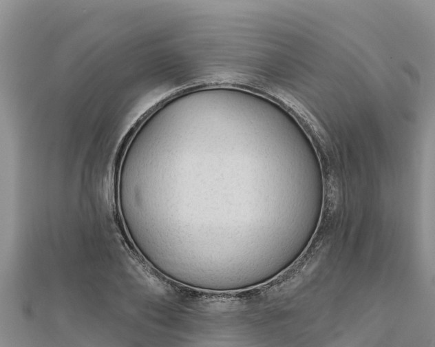 X0000112800886200908281526