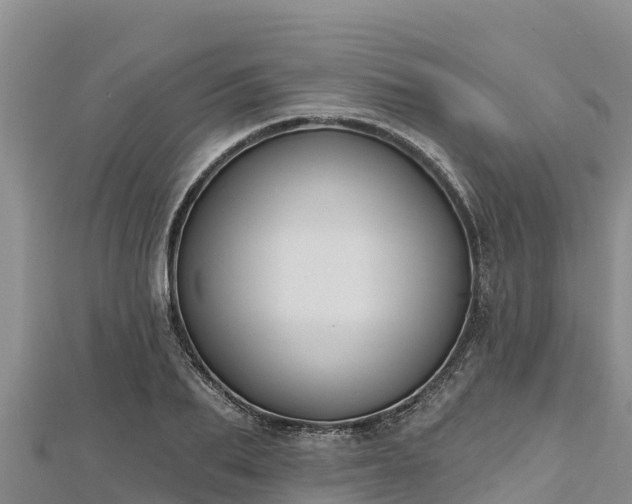 X0000112800887200908281526
