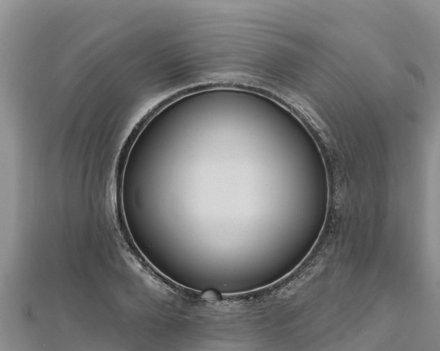 X0000112800888200908281526