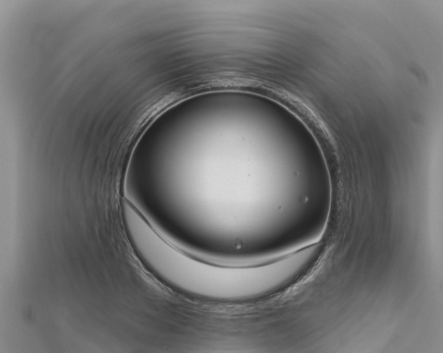 X0000112800889200908281526