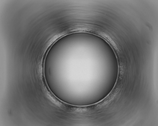 X0000112800890200908281526