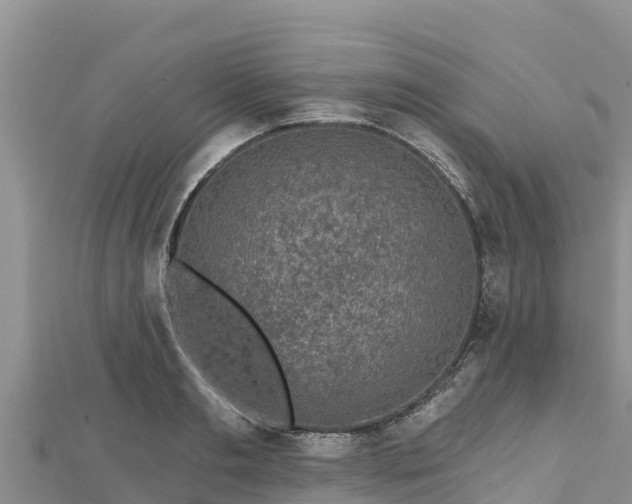 X0000112800893200908281526