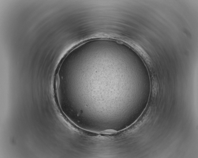X0000112800896200908281526