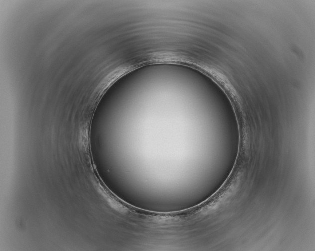 X0000112800897200908281526
