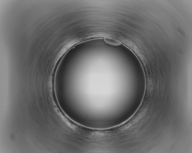 X0000112800898200908281526