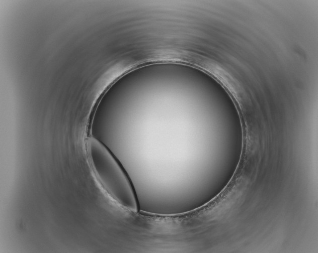 X0000112800901200908281526