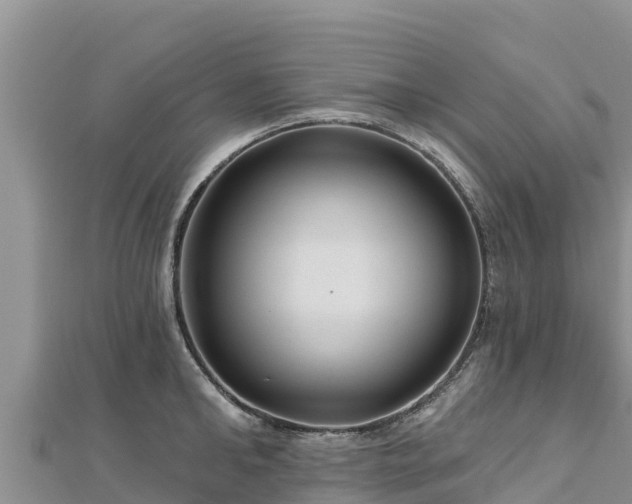 X0000112800902200908281526