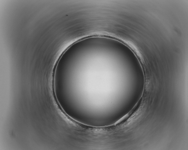 X0000112800903200908281526