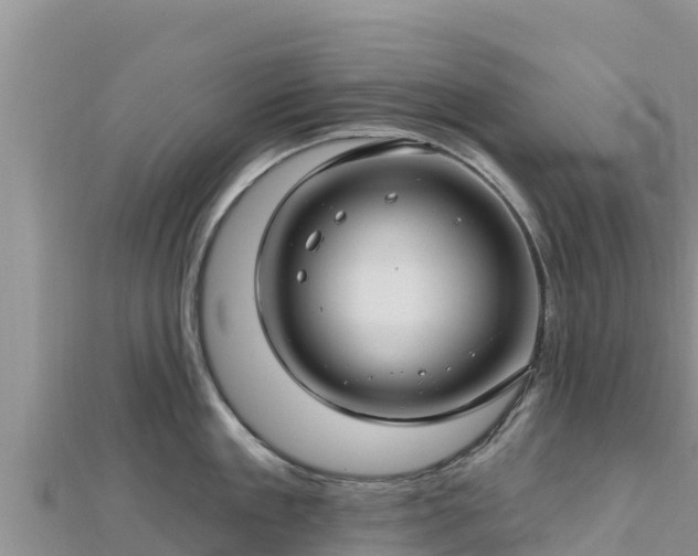 X0000112800909200908281526