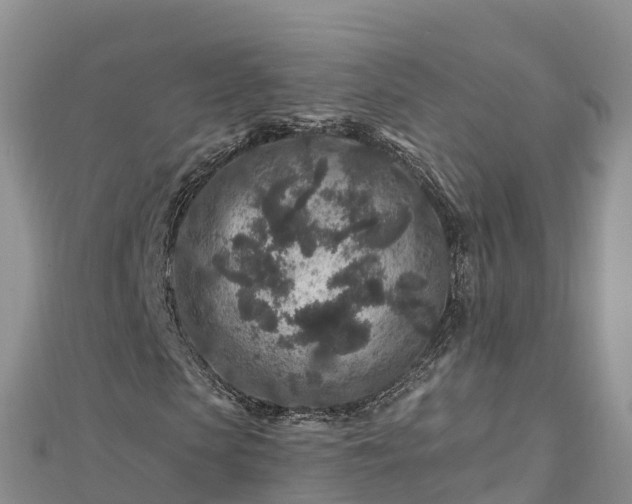 X0000112800913200908281525