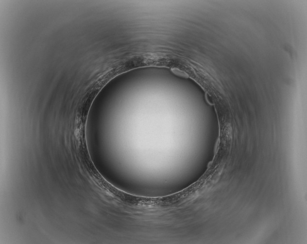 X0000112800914200908281525