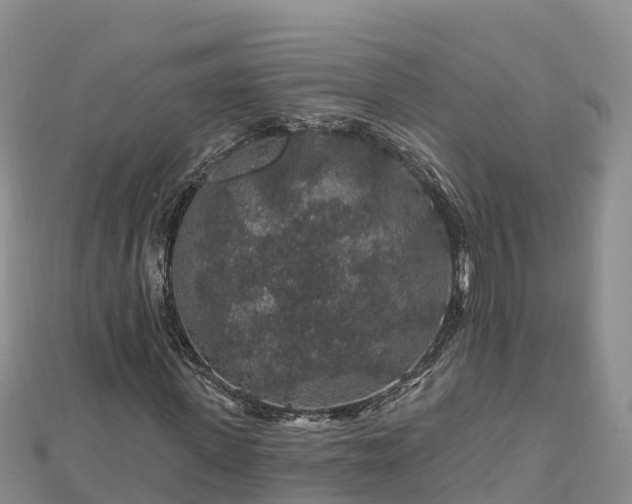 X0000112800915200908281525