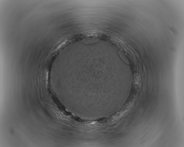 X0000112800916200908281525