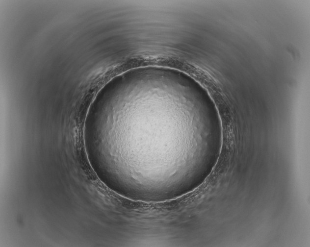 X0000112800917200908281525
